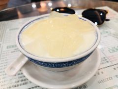 芦荟双皮奶-仁信老铺(华盖路店)
