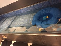 -Oh My Dog宠物沙龙(伊珊娜皮毛护理店)