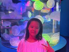 -太平洋海底世界