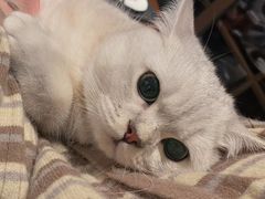 -星巴克(宁波老外滩店)