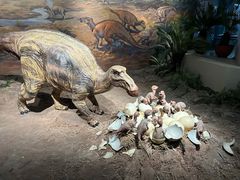 -自贡恐龙博物馆