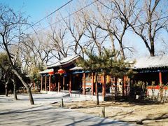 -中卫御苑福膳·养生局(圆明园店)