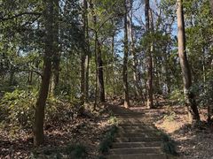 -九曜山