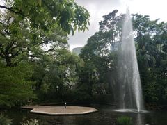 -九龙公园
