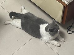 -北国奥特莱斯