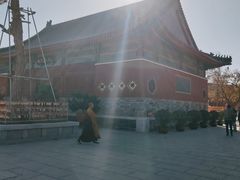 -天津大悲禅院