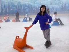 -世界之窗阿尔卑斯冰雪世界