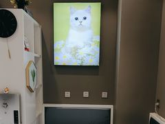 -关爱宠物医院·猫科中心·消化科(滨湖万达分院)