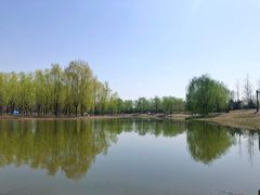 -东郊湿地公园