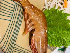 -京樽回転寿司(奥林匹克店)