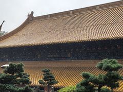 -普陀山风景名胜区-法雨禅寺
