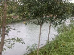 android_upload_pic-杭州双溪漂流景区