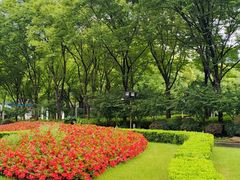-新虹桥中心花园