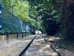 -云南师范大学(一二一西南联大校区)