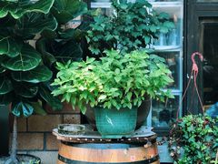 -春暖花开(西溪店)