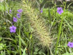 -怡海公园(桂城街道)