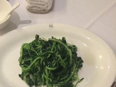 鸡毛菜-苏浙汇(北京英蓝店)