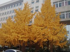 -武汉理工大学（余家头校区）航海楼