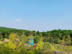 -铁山坪森林公园