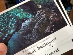 -怀托摩萤火虫洞