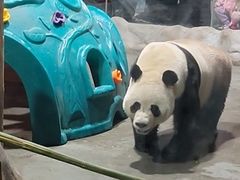 -栾川竹海野生动物园