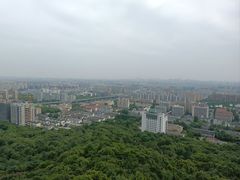 -杭州半山国家森林公园