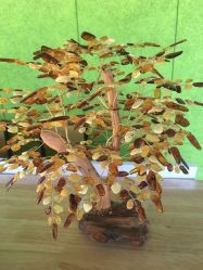 点击看大图 -一花一叶瑜伽生活馆