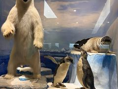 -国家自然博物馆