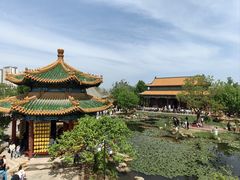 -曹州牡丹园