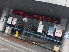 -小海豚国际游泳培训中心(浦东塘桥店)