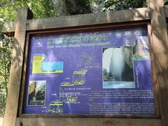 -雁荡山三折瀑景区