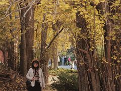 -青岛崂山太清宫