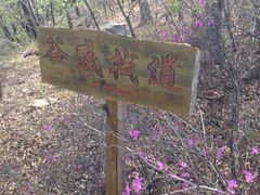 iphone_upload_pic-锦河大峡谷