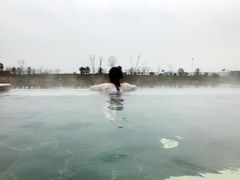 -苏州湾王焰温泉度假酒店