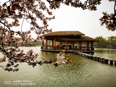 -西安浐灞国家湿地公园