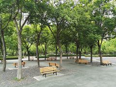 -南翔镇银翔湖公园