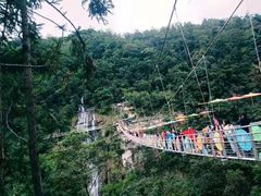 -九龙江国家森林公园