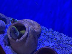 -华夏文旅海洋公园