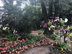 -广州市石门国家森林公园