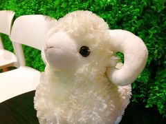 -九府羊·鲜羊火锅·烤串(新华路店)