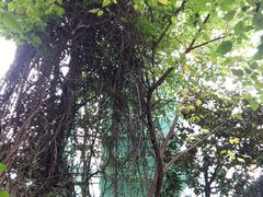 -大德寺双塔