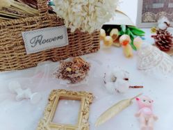 -SixOne六一日式美甲美睫