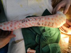 -宠爱国际动物医院· 猫科· 外科·中兽医(长白店)