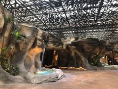 -杭州开元森泊度假乐园