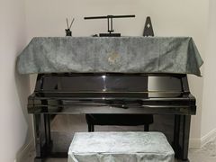 -天籁琴行(淘金店)