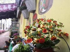 -Rabbit Cafe私房西餐甜点咖啡(栖霞路店)