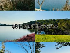 -羊山湖公园