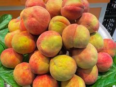 -鲜丰水果(高刘路店)