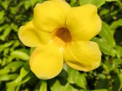 -风云岭森林公园