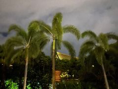 -三亚湾红树林度假世界(木棉酒店)